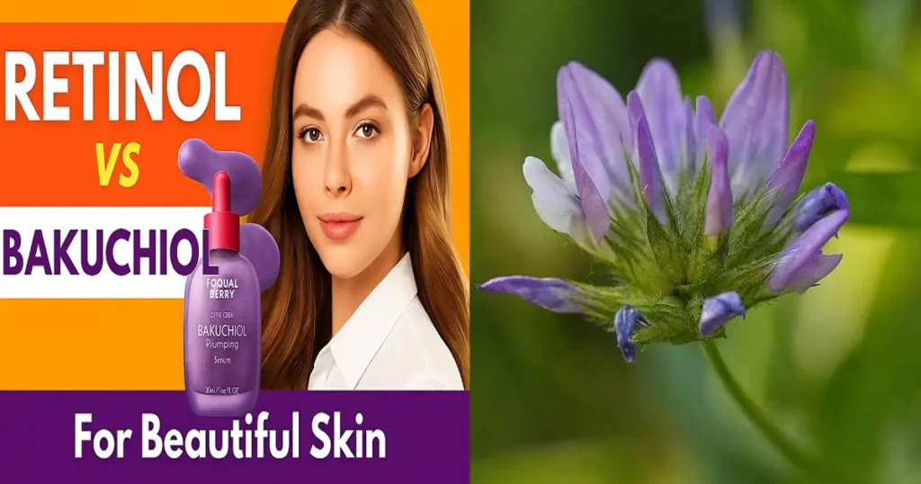 مقارنة كيميائية بين تركيبة الريتينول والتركيبة النباتية لـ الباكوشيول.