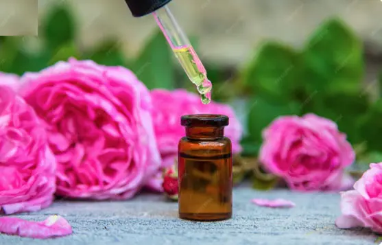 زيت الورد البري غني بفيتامين A الطبيعي لعلاج التجاعيد وتحسين مظهر الندبات.