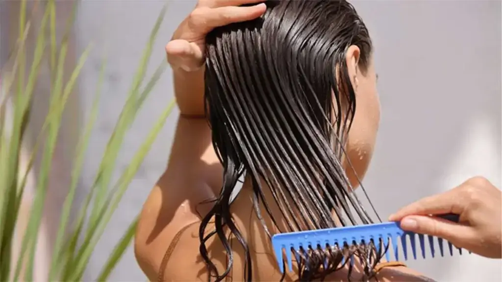 تمشيط الشعر الجاف والمبلل: أفضل أنواع الفُرش.