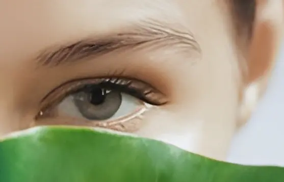 خطوات دمج 5 مكونات العناية بالبشرة الطبيعية في الروتين الصباحي والمسائي للتجديد والإصلاح.