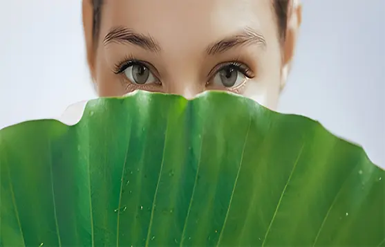 عرض لسيروم الباكوشيول وزيت ثمر الورد النقي وهما من أفضل مكونات العناية بالبشرة الطبيعية