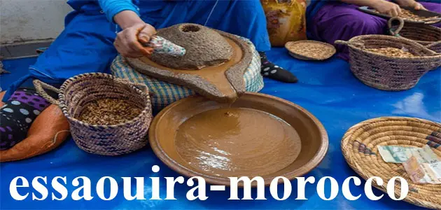 ثمار شجرة الأركان المغربية النادرة التي يُستخرج منها زيت الأركان الأصلي.