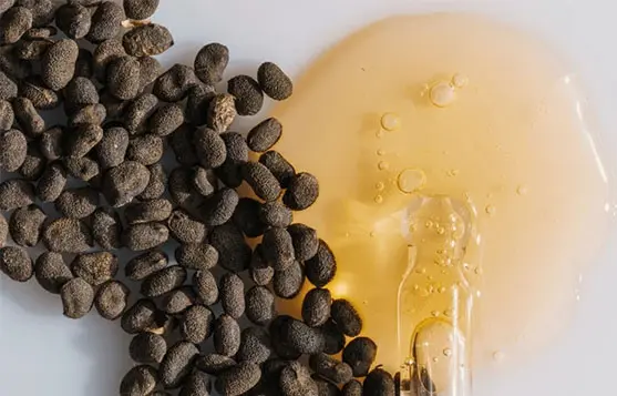 زيت وجه (Face Oil) يحتوي على الباكوتشيول للبشرة لتجديد الخلايا صباحاً ومساءً.