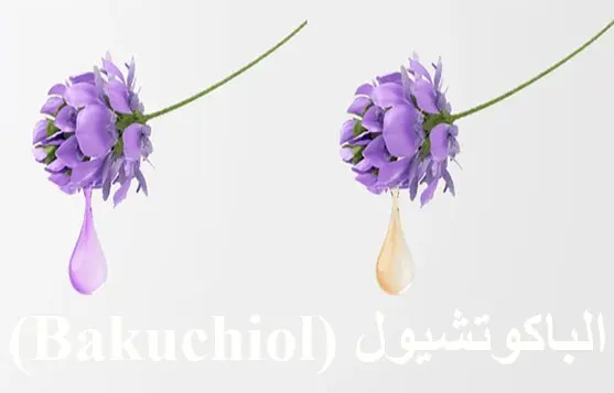 مقارنة بصرية بين تأثير الريتينول وتأثير الباكوتشيول للبشرة الحساسة على التجاعيد.