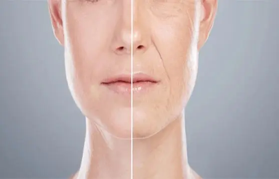 زجاجة فاخرة تحتوي على زيت الأركان الأصلي إلى جانب حبات الأركان وشجرة الأركان.