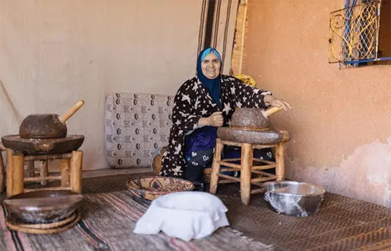 ثمار وأوراق شجرة الأركان تُظهر المصدر الطبيعي لـ زيت الأركان النقي.